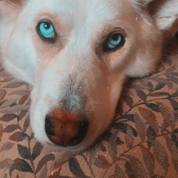 Meet your Posher, Becca - Picture 5 of 5